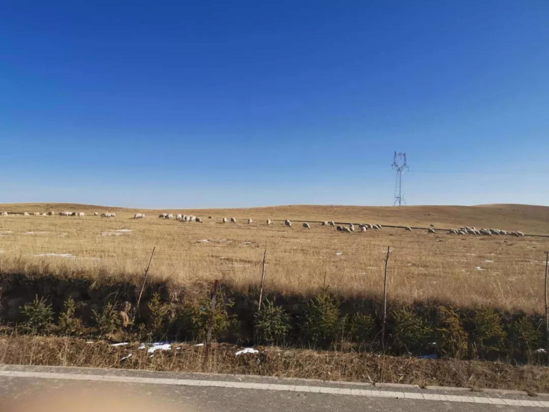 游辩中国五十一 热干面&middot;过桥米线&middot;西宁抓面 