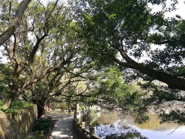 游辩中国三十七 还乡