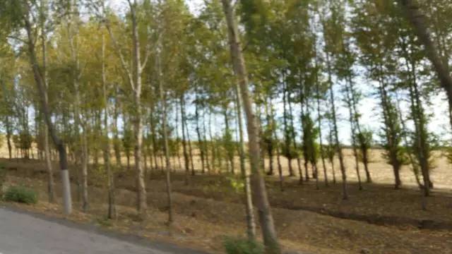 游辩中国二十六 西行分水岭