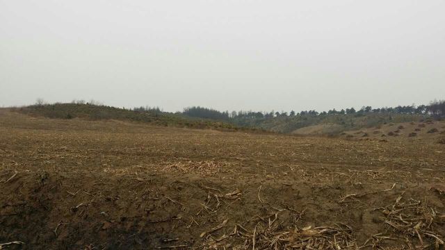 游&ldquo;辩&rdquo;中国之十六