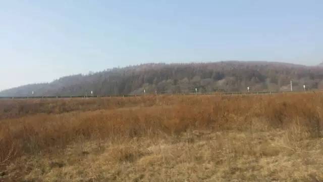 游&ldquo;辩&rdquo;中国之十五