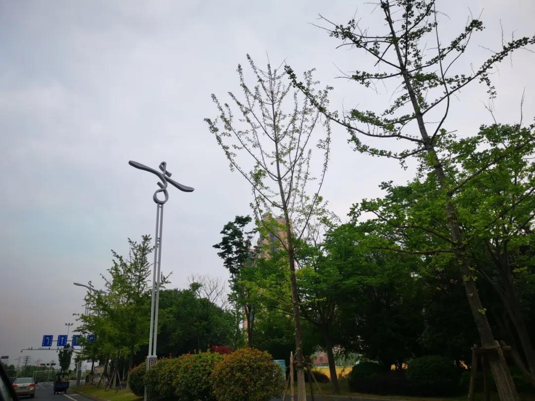 游辩中国五十四 读一本书